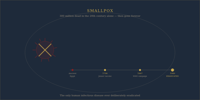 Smallpox eradication vaccination campaign global