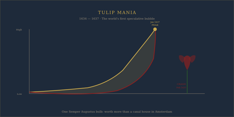 Dutch tulip mania price chart showing the bubble and collapse